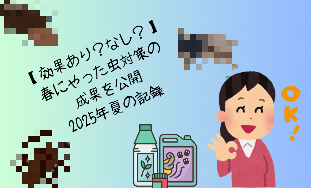 虫対策をした結果